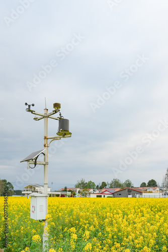 Outdoor Meteorological Information Monitoring System in a Rapeseed Flower Field