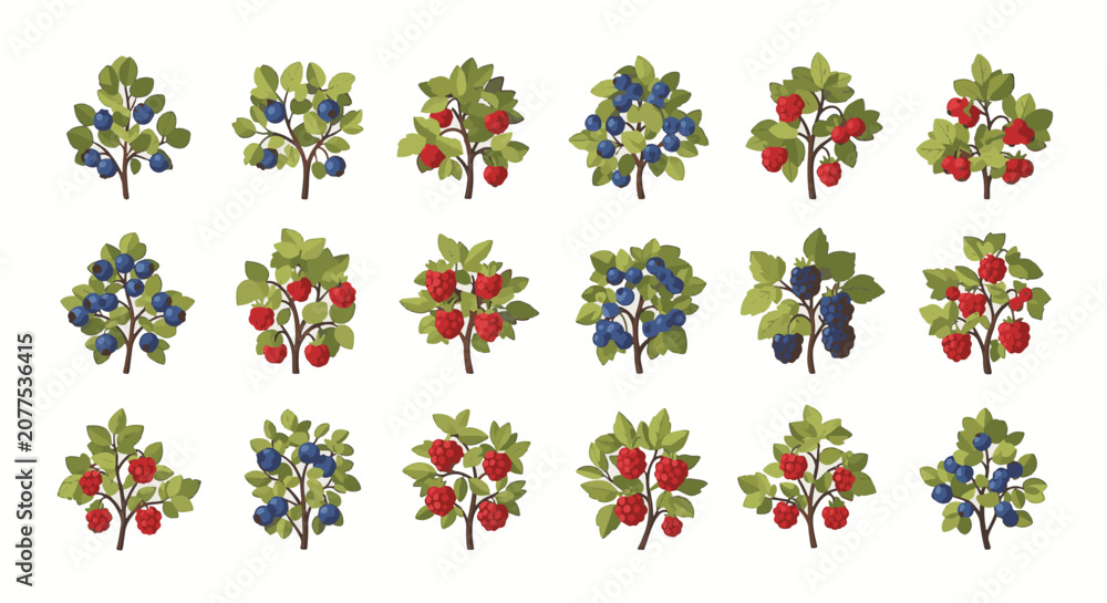 Fototapeta premium Vector illustration collection featuring eighteen individual berry bushes including ripe blueberries, red raspberries, blackberries and currants with green foliage on white background.