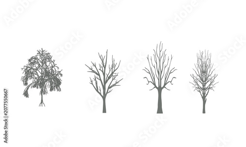 Leafless Dead Tree Silhouette Set Black Vector Collection
