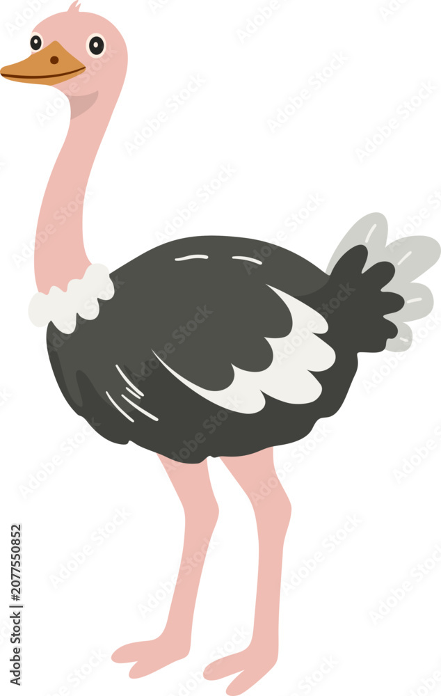 Fototapeta premium Ostrich Standing Cute Cartoon Illustration