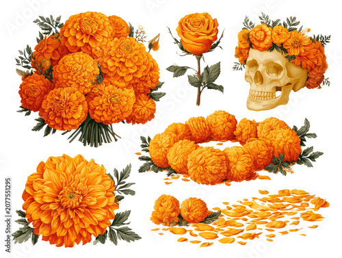 Dia de los Muertos Marigolds and Skull Illustration