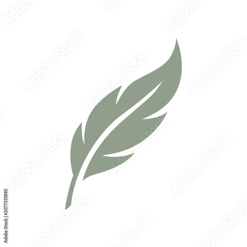 Minimalist Sage Green Feather Vector Icon Logo Illustration