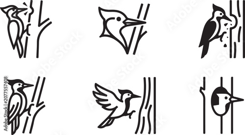 Fényképezés Woodpecker birds clinging to and pecking tree bark illustrations Vector