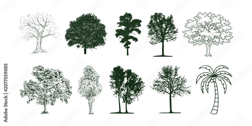 Fototapeta premium Hand Drawn Tree Sketch Collection for Architecture and Landscape Design, Architectural Tree Vector Set.