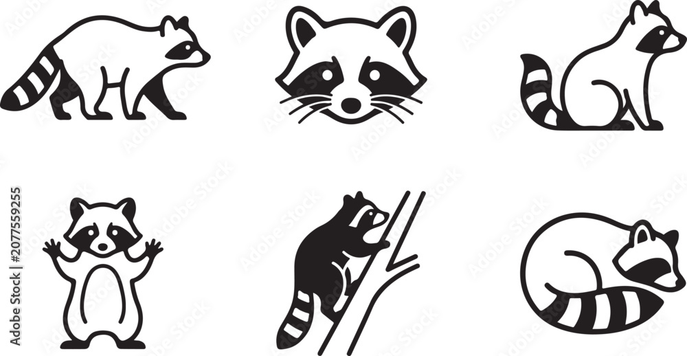 Fototapeta premium Six raccoon vector icons in different playful poses Vector
