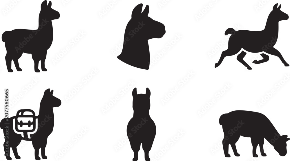 Obraz premium Six black llama silhouettes in different poses and activities Vector