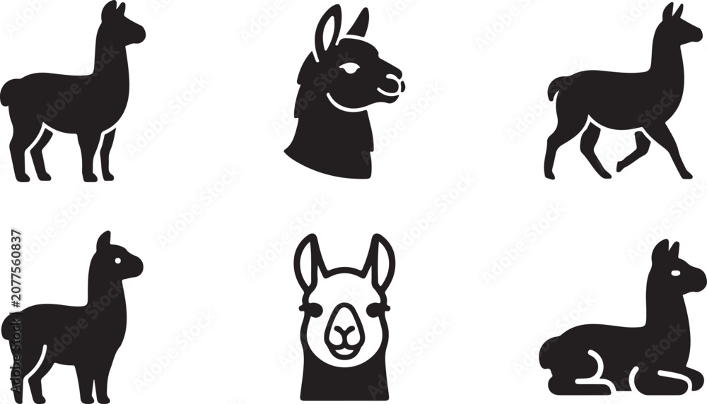 Fototapeta premium Black silhouette illustrations of llamas and alpacas in different poses Vector