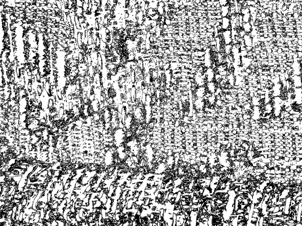 Obraz premium Abstract High Contrast Black and White Grunge Texture