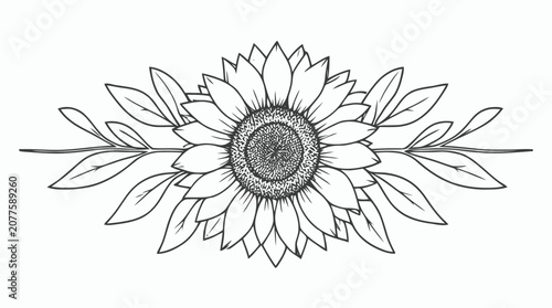 Detailed black and white illustration of a sunflower with radiating petals and surrounding leaves.