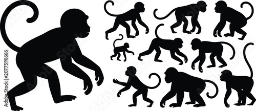 Fotografie Group of Black Monkey Silhouettes in Various Poses on White Background primate