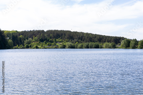 The green forest beyond the lake