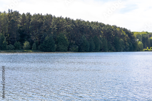 The green forest beyond the lake