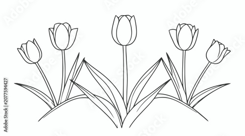 Minimalist line drawing of blooming tulips with leaves and stems.