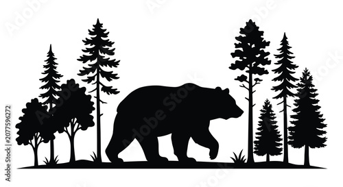 Foto Black silhouette of a walking bear amidst coniferous and deciduous trees forest