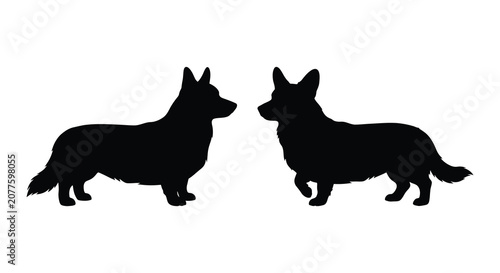 Photos Two corgi dogs facing each other a black silhouette on a white background silhou