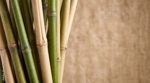 close up green and yellow bamboo sticks flat lay wallpaper with copy space
