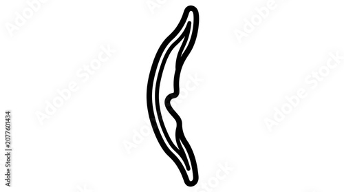 A minimalist black and white vector illustration of a single curved organic shape with bold lines on white background