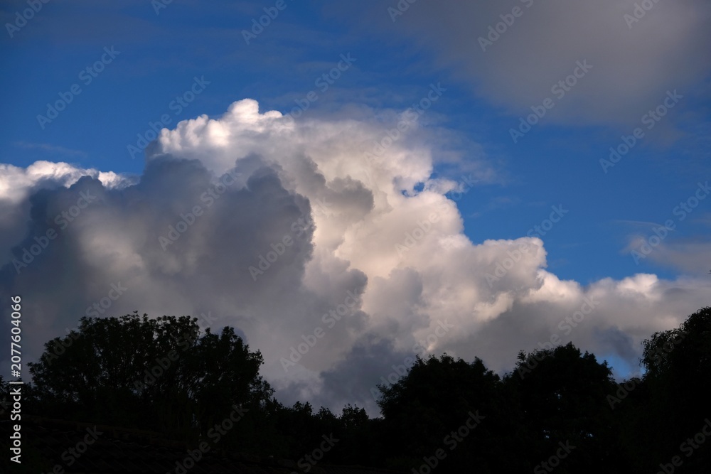 Obraz premium Big cloud Cumulonimbus illuminated by the sun above trees against blue sky.