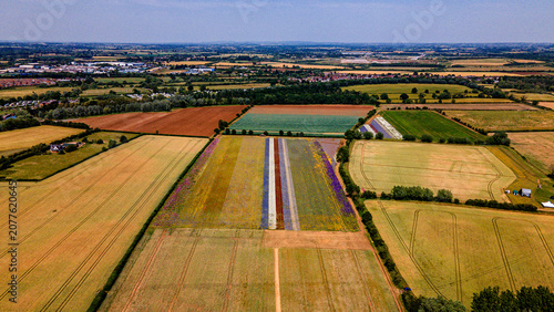 High angle drone view of colorful striped flower fields in Wick