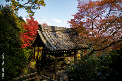 Senkoji Temple in Kyoto, Japan in autumn