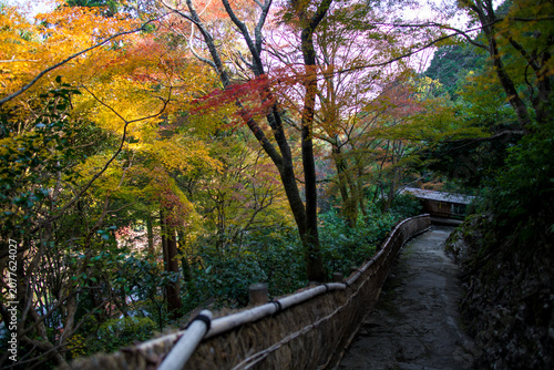 Senkoji Temple in Kyoto, Japan in autumn