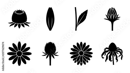 Tableau sur toile Flower parts linear icon set bud petal stem leaf, UI and web interface design