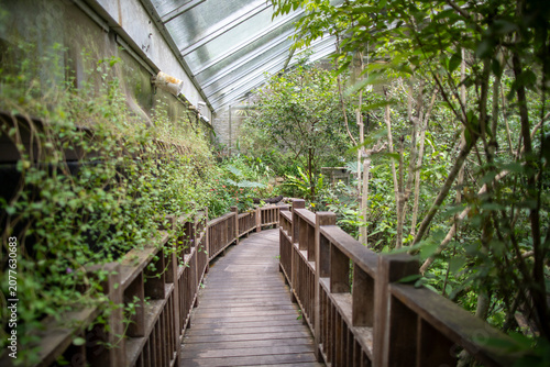 In summer, the famous Taipei Zoo in Taiwan