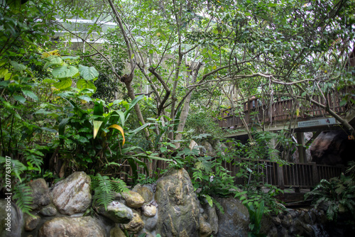 In summer, the famous Taipei Zoo in Taiwan