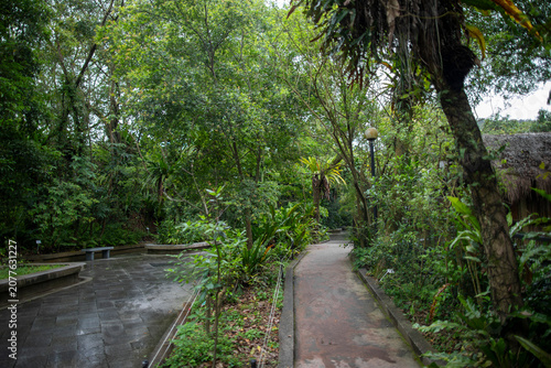 In summer, the famous Taipei Zoo in Taiwan