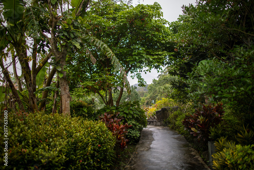 In summer, the famous Taipei Zoo in Taiwan