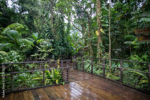 In summer, the famous Taipei Zoo in Taiwan