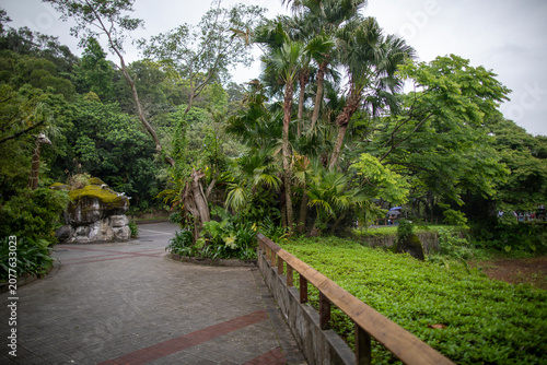 In summer, the famous Taipei Zoo in Taiwan