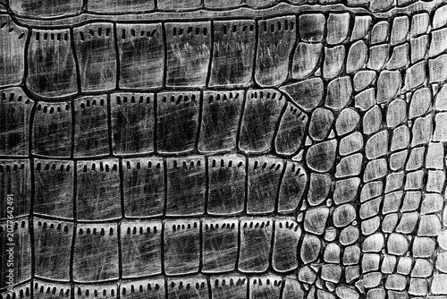 Bild auf Leinwand Macro shot of alligator skin texture