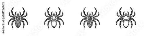 Tableau sur toile Sketch black and white tarantula logo design set