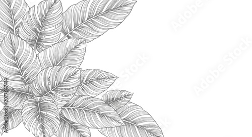 Elegant Line Art Tropical Leaves Corner Design, Botanical Illustration, Monochrome