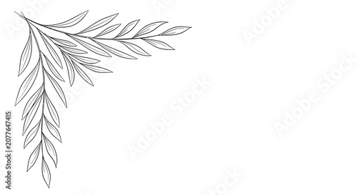 Elegant Olive Branch Corner Design, Hand-Drawn Outline, Botanical Border Element