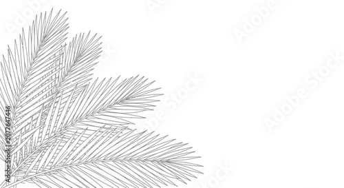 Elegant Palm Frond Outline - Minimalist Tropical Leaf Vector