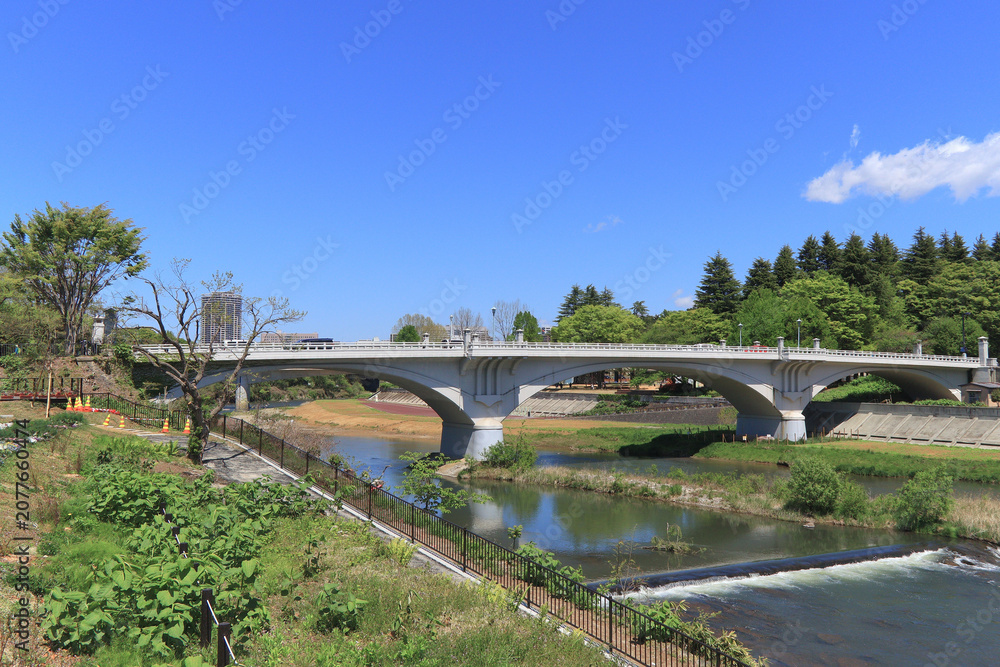 Fototapeta premium ゆったりと流れる広い川にかかる白いアーチ形の大きな橋、仙台市の仙台大橋と広瀬川