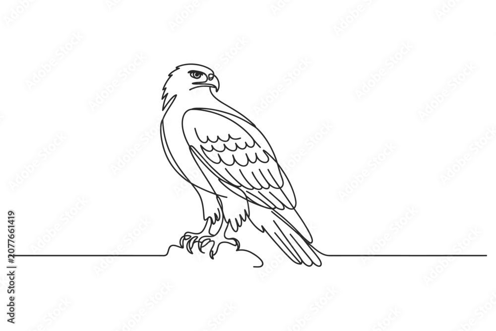 Fototapeta premium Single line sketch of a hawk standing on a rocky outcrop with wildlife continuous predator