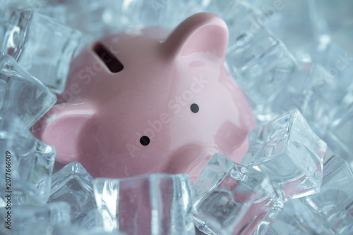 Принти на полотні Ping piggy bank frozen in a lot of ice cube