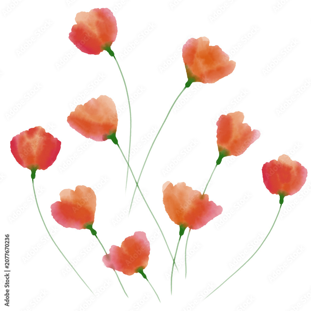 Obraz premium Abstract flowers, orange and pink, digital watercolor illustration