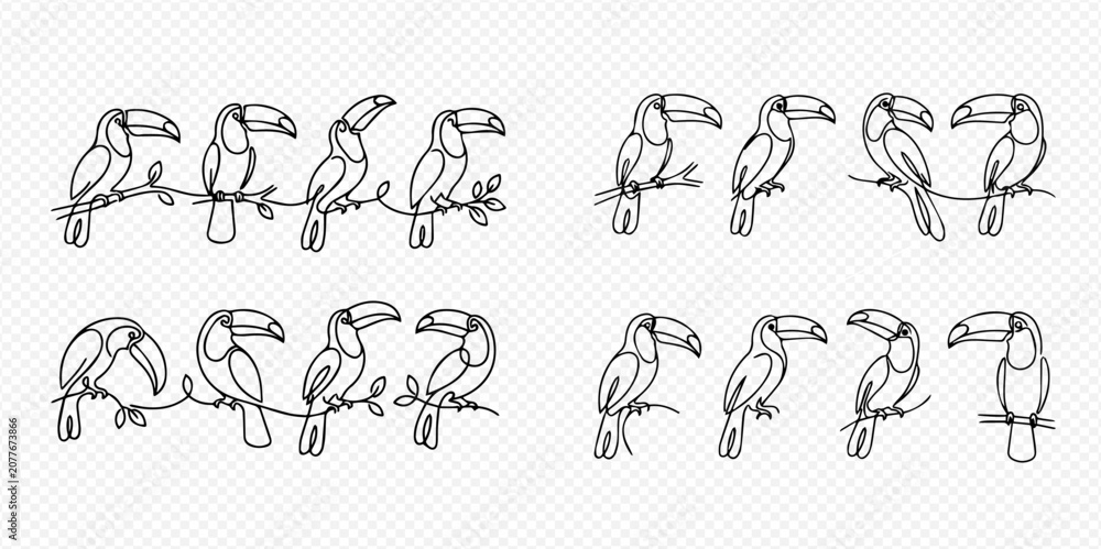 Fototapeta premium Continuous line art drawing of toucans on branches, tropical birds in minimalist style, vector illustration set.