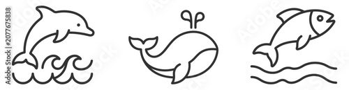 Foto line art icons of dolphin jumping waves whale spouting water and fish jumping ov