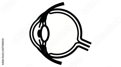 Photos Human Eye Anatomy Line Icon Vector