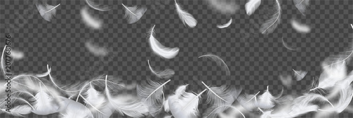 Natural airy feather falling background. Delicate soft plume in motion. Light quills gliding downward with fluid motion. Vector realistic decorative design, abstract scene or creative project