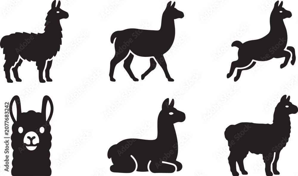 Fototapeta premium Black silhouette llamas in various standing and sitting poses Vector