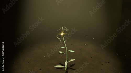 Uncoiling thin white spiral after faint disturbance plant pushing up stem on soil glowing gold core