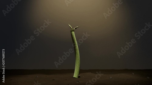Sprouting seed pushing shoot unfolding cotyledons on dark soil under focused light causing growth