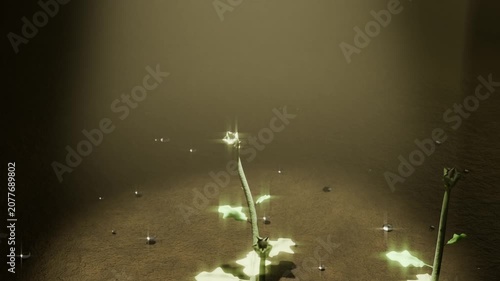 Emerging center bud stem opening gold cone lamp casting star-flares right-stem glowing beads fading