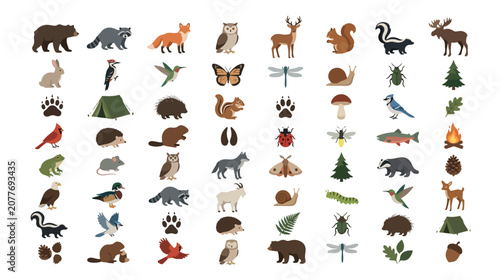 Forest animals and woodland wildlife icons, 64 flat vector elements set, wild nature fauna and camping symbols for educational design